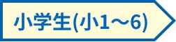 小学生（小1〜6）