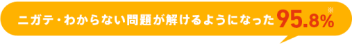 ニガテ・わからない問題が解けるようになった 95.8%*