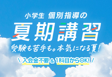 小学生 個別指導の夏期講習 受験も苦手も。本気になる夏！