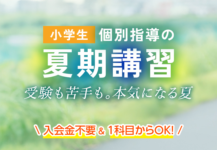 小学生 個別指導の夏期講習 受験も苦手も。本気になる夏